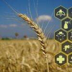 AI's Revolutionary Influence on Renewable Energy 1